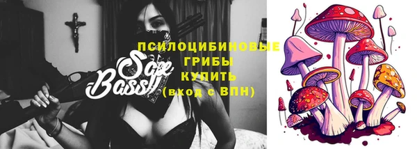 МДПВ Богородицк