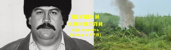 mix Богородск