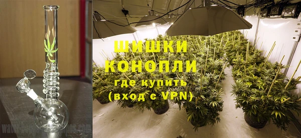 МДПВ Богородицк